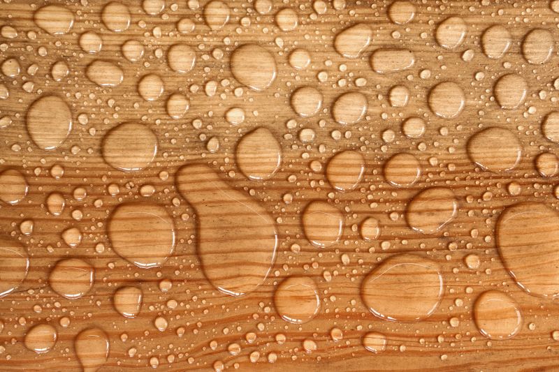 Wood Waterproofing in Bellevue, WA